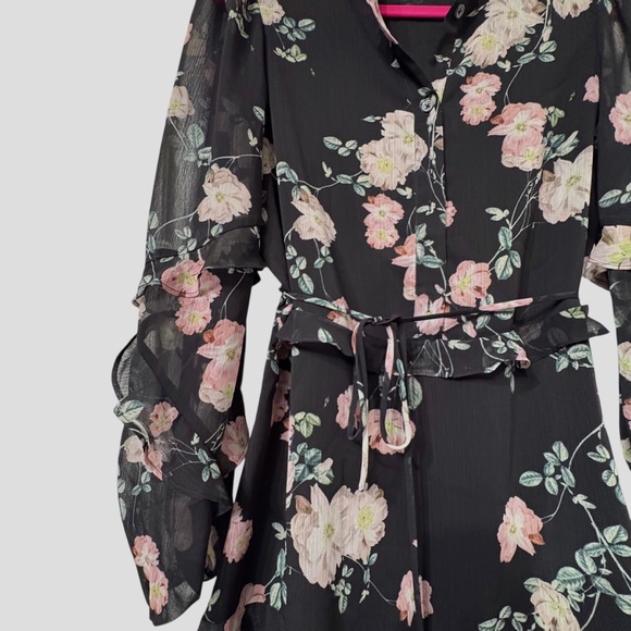 Blue Life Floral Black Chiffon Sheer Ruffle Long-Sleeve Mini Dress - Picture 9 of 16